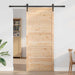 Ușă hambar natural 90 x 2,5 x 208 cm Lemn masiv de pin - WALTI WALTI