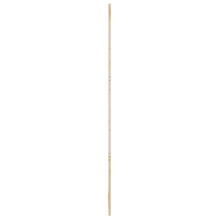 Ușă hambar natural 90 x 2,5 x 208 cm Lemn masiv de pin - WALTI WALTI