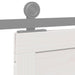 Ușă hambar Alb 90 x 2,5 x 208 cm Lemn masiv de pin - WALTI WALTI