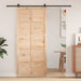 Ușă hambar natural 80 x 2,5 x 208 cm Lemn masiv de pin - WALTI WALTI