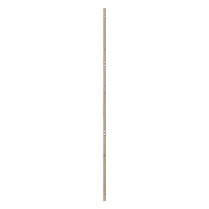Ușă hambar natural 80 x 2,5 x 208 cm Lemn masiv de pin - WALTI WALTI