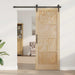 Ușă de interior natural 83 x 211 cm placaj - WALTI WALTI