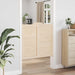 Uși oscilante 2 pcs natural Lemn masiv de pin - WALTI WALTI