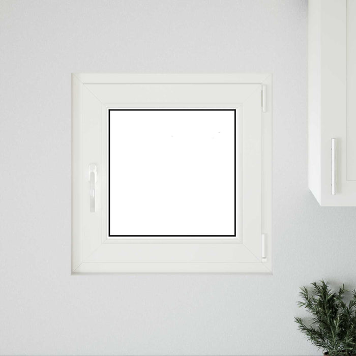 Fereastră pentru subsol Manual RISOR Alb 50 x 50 cm PVC și Sticlă - WALTI WALTI