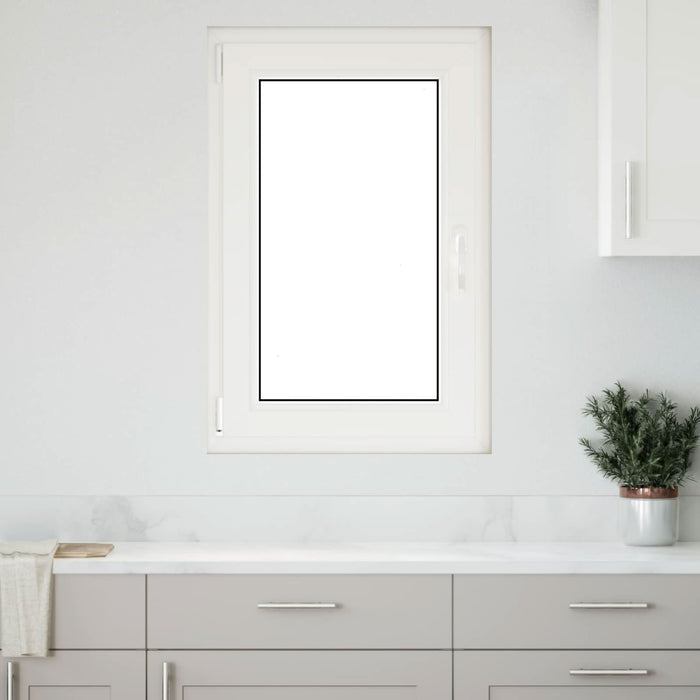 Fereastră pentru subsol Manual RISOR Alb 60 x 100 cm PVC și Sticlă - WALTI WALTI