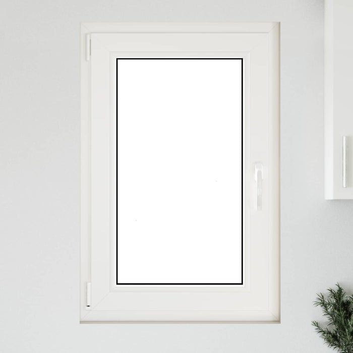 Fereastră pentru subsol Manual RISOR Alb 60 x 100 cm PVC și Sticlă - WALTI WALTI
