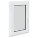 Fereastră pentru subsol Manual RISOR Alb 60 x 100 cm PVC și Sticlă - WALTI WALTI