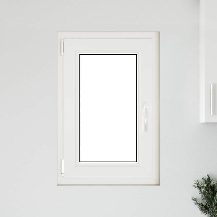 Fereastră pentru subsol Manual RISOR Alb 50 x 75 cm PVC și Sticlă - WALTI WALTI