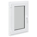 Fereastră pentru subsol Manual RISOR Alb 50 x 75 cm PVC și Sticlă - WALTI WALTI