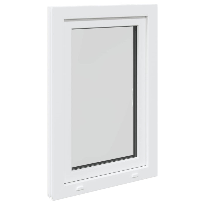 Fereastră pentru subsol Manual RISOR Alb 60 x 80 cm PVC și Sticlă - WALTI WALTI