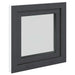 Fereastră pentru subsol RISOR Antracit 50 x 50 cm PVC și Sticlă - WALTI WALTI