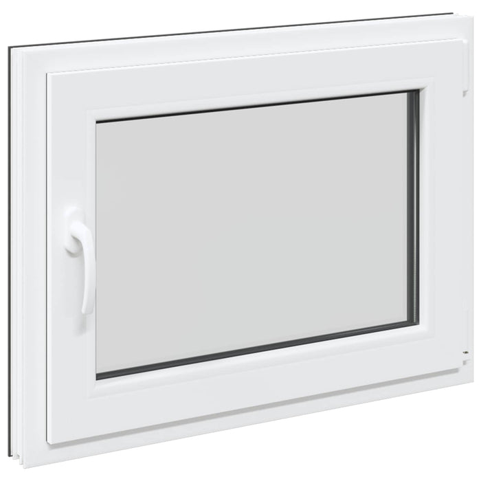 Fereastră pentru subsol RISOR Antracit 60 x 100 cm PVC și Sticlă - WALTI WALTI