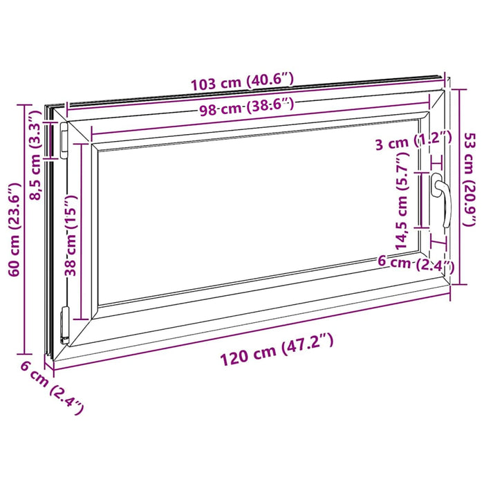 Fereastră pentru subsol RISOR Antracit 120 x 60 cm PVC și Sticlă - WALTI WALTI