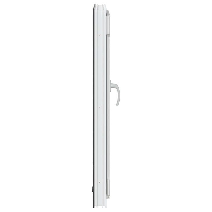 Fereastră pentru subsol RISOR Antracit 60 x 100 cm PVC și Sticlă - WALTI WALTI
