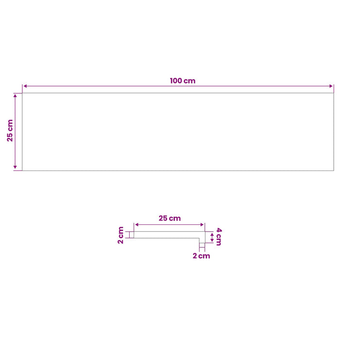 Trepte de scară 2 buc. 100 x 25 x 2 cm Maro Lemn de fag masiv WALTI