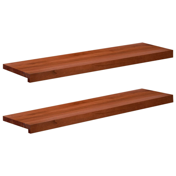 Trepte de scară 2 buc. 100 x 30 x 2 cm Maro Lemn de fag masiv WALTI