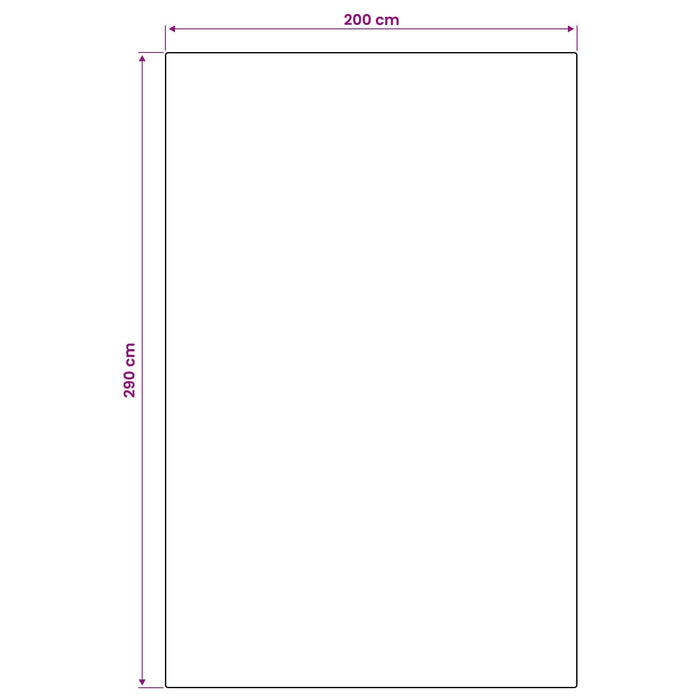 Covor de zonă Natural și Negru 200 x 290 cm PET - WALTI WALTI