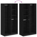 Dulap cu raft Stejar negru 100 x 50 x 200 cm Lemn compozit - WALTI WALTI