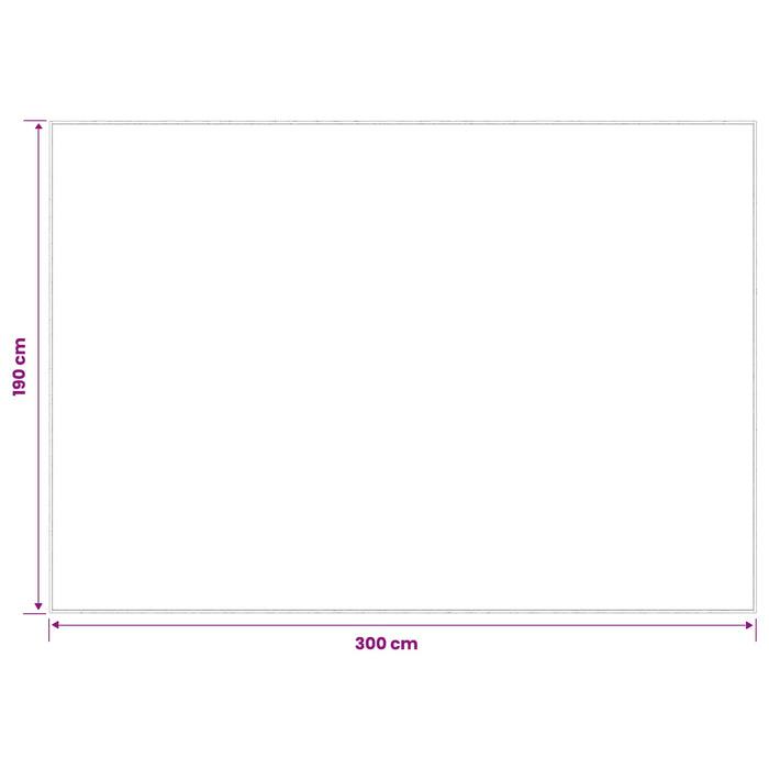 Covor Bej 190 x 300 cm 100% Polyester 3 mm Spălabil WALTI