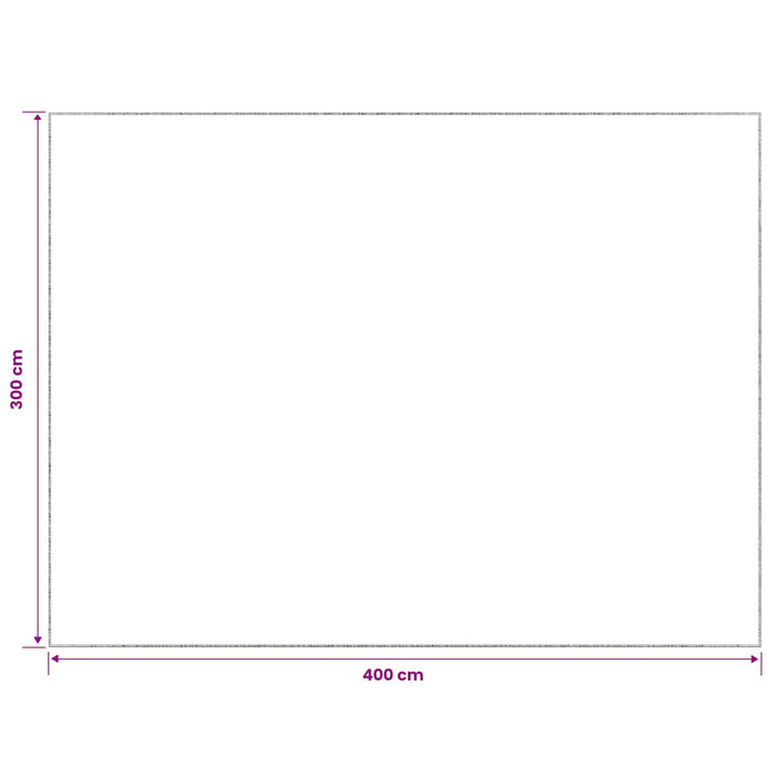 Covor Gri 300 x 400 cm 100% Polyester 3 mm Spălabil WALTI