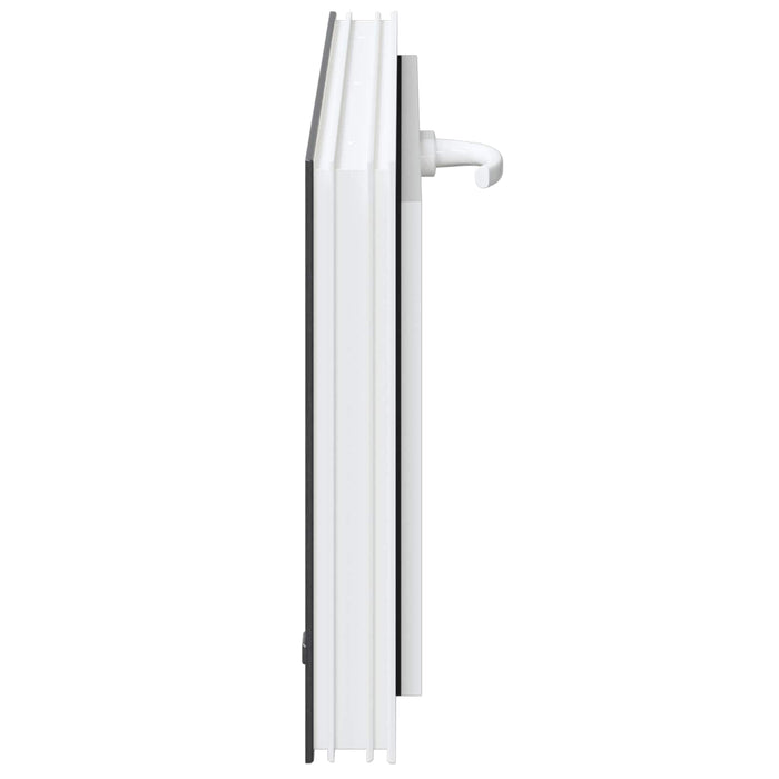 Fereastră pentru subsol RISOR 80 x 40 cm PVC și Sticlă Antracit - WALTI WALTI