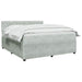 Pat boxspring cu saltea Gri deschis 180 x 200 cm Catifea - WALTI WALTI