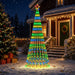 Brad de Crăciun LED 250 cm 475 LED-uri Multicolor Oțel Negru - WALTI WALTI