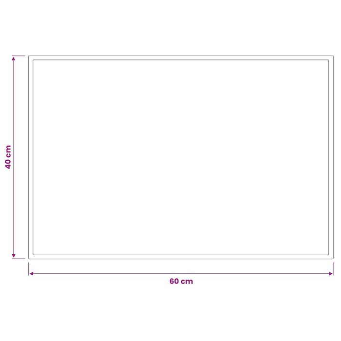 Covoraș de intrare Gri deschis 60 x 40 cm 100% Poliamidă WALTI