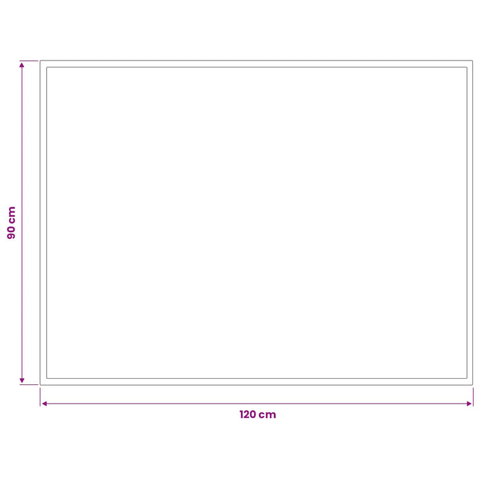Covoraș de intrare Gri deschis 120 x 90 cm 100% Poliamidă WALTI