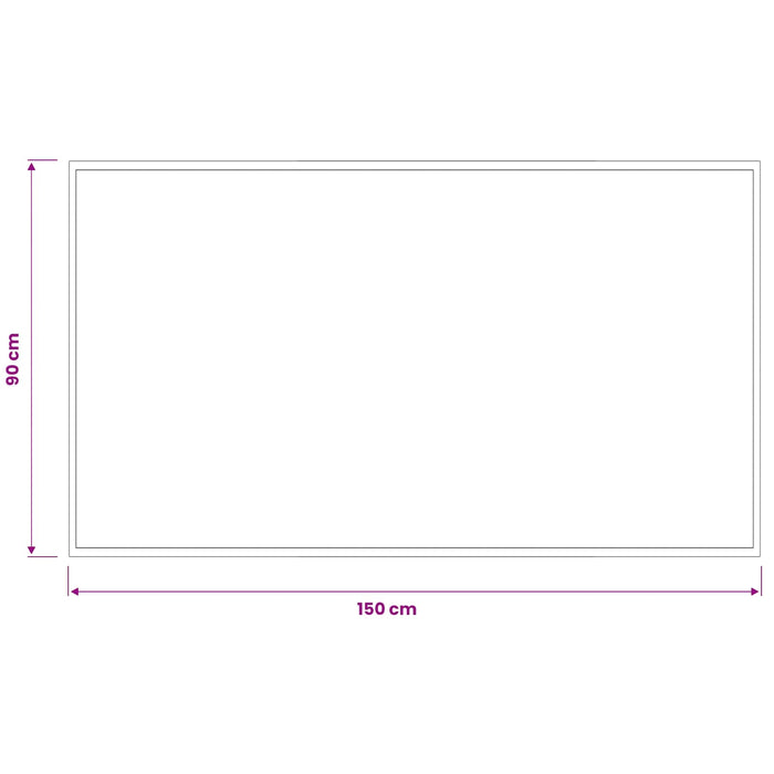 Covoraș de intrare Gri deschis 150 x 90 cm 100% Poliamidă WALTI