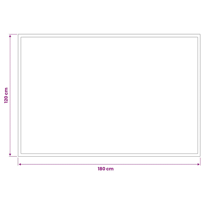 Covoraș de intrare Gri deschis 180 x 120 cm 100% Poliamidă WALTI