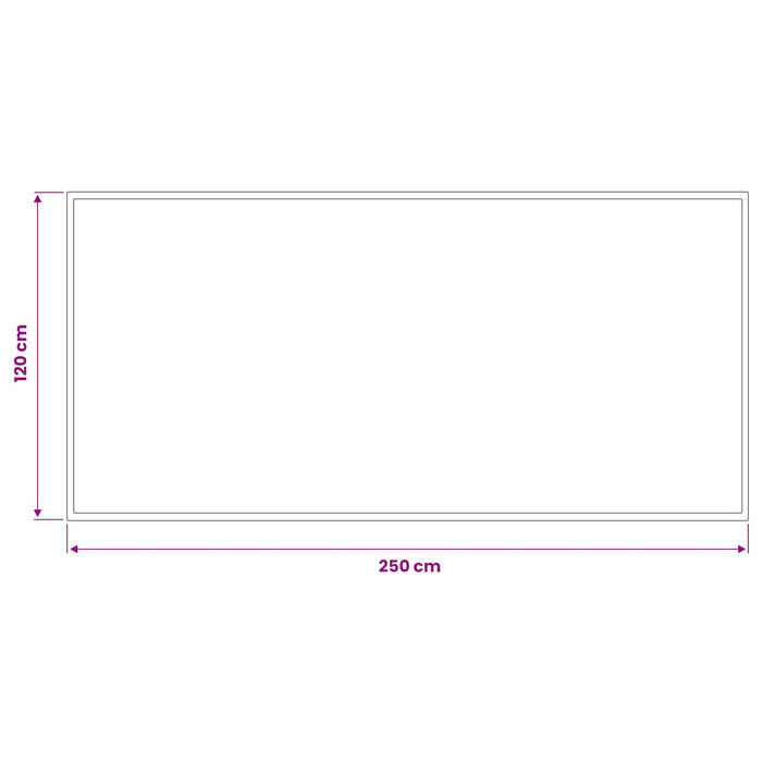 Covoraș de intrare Gri deschis 250 x 120 cm 100% Poliamidă WALTI