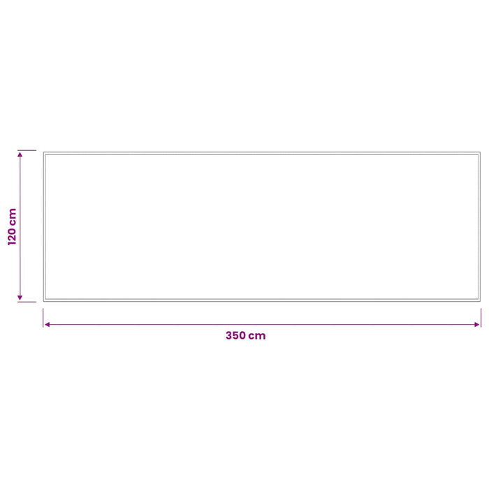 Covoraș de intrare Gri deschis 350 x 120 cm 100% Poliamidă WALTI