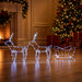 Decorațiune de Crăciun cu reni și sanie LOVIISA 240 LED-uri - WALTI WALTI