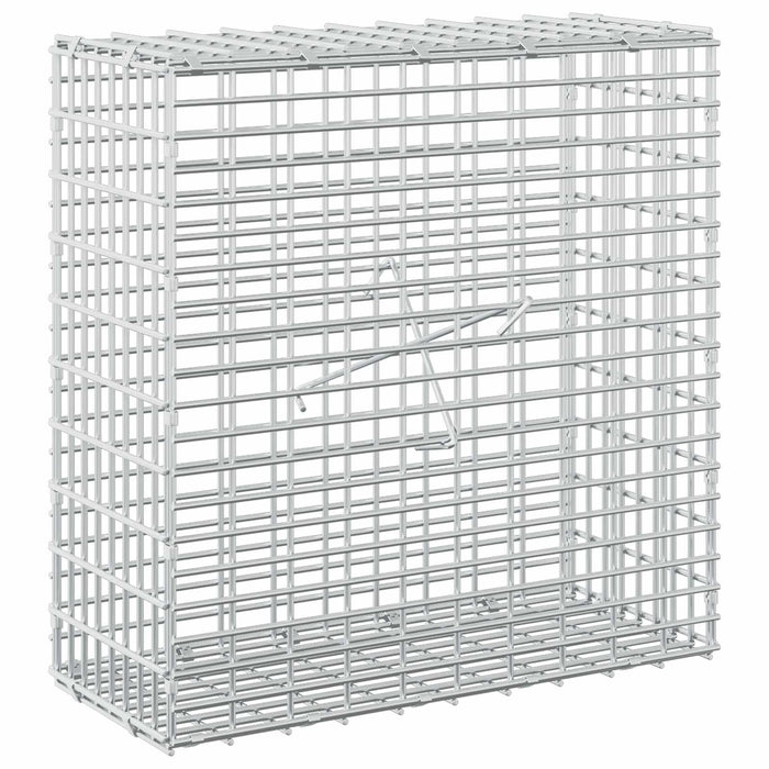 Gabion cu fir de 3,5 mm și plasă de 5x2,5 cm 50x20x50 cm WALTI
