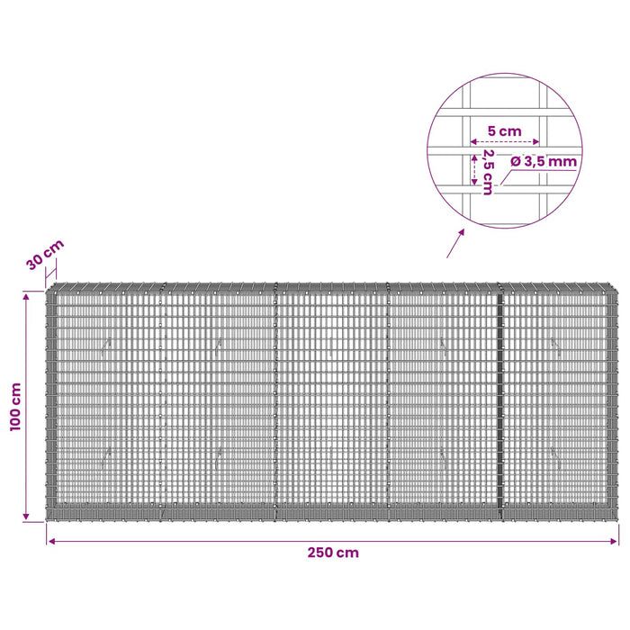 Gabion cu fir de 3,5 mm și plasă de 5x2,5 cm 250x30x100 cm WALTI