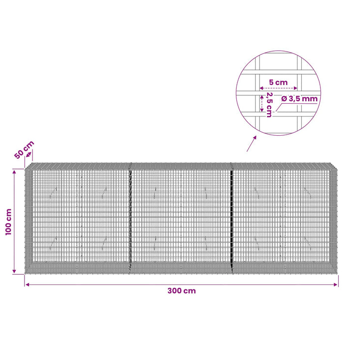 Gabion cu fir de 3,5 mm și plasă de 5x2,5 cm 300x50x100 cm WALTI