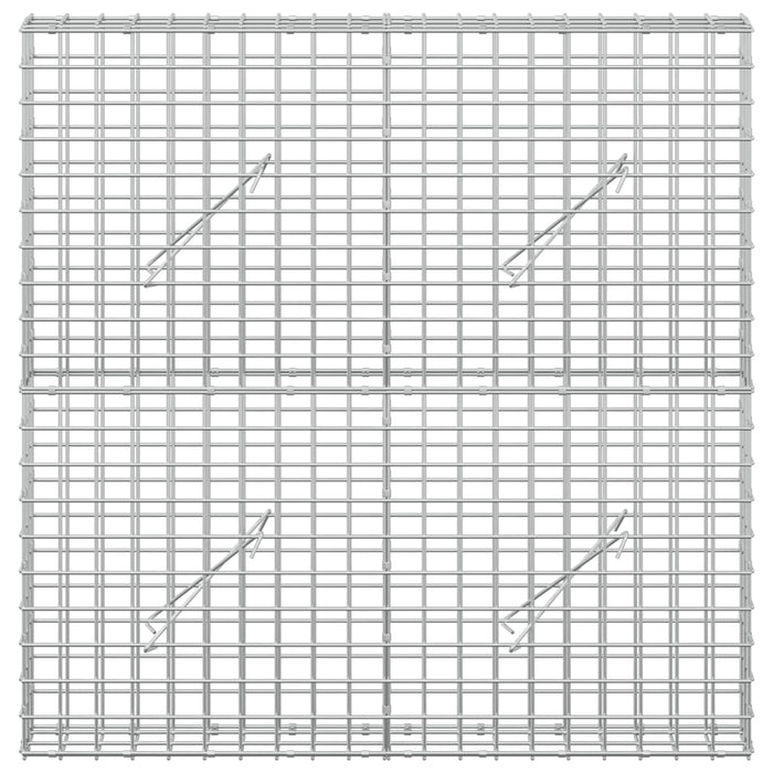 Gabion cu sârmă de 3,5 mm și plasă de 5x5 cm 100x10x100 cm WALTI