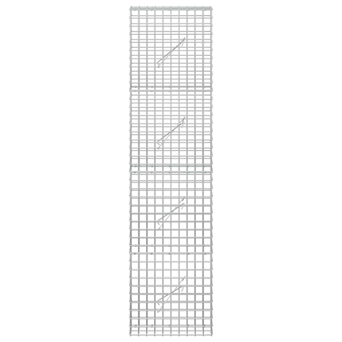 Gabion cu sârmă de 3,5 mm și plasă de 5x5 cm 50x10x200 cm WALTI