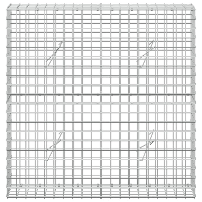 Gabion cu sârmă de 3,5 mm și plasă de 5x5 cm 100x20x100 cm WALTI