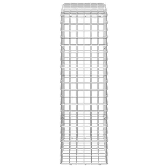 Gabion cu sârmă de 3,5 mm și plasă de 5x5 cm 50x30x100 cm WALTI