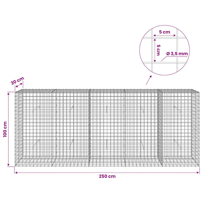 Gabion cu sârmă de 3,5 mm și plasă de 5x5 cm 250x30x100 cm WALTI