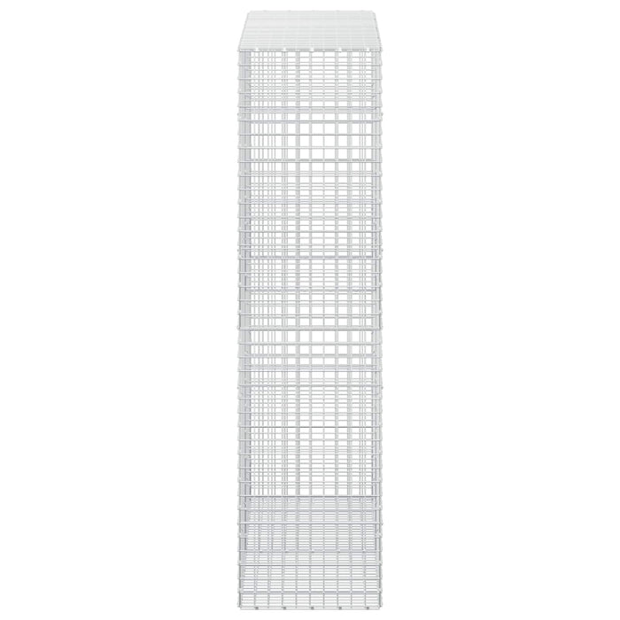 Gabion cu sârmă de 3,5 mm și plasă de 5x5 cm 200x50x200 cm WALTI