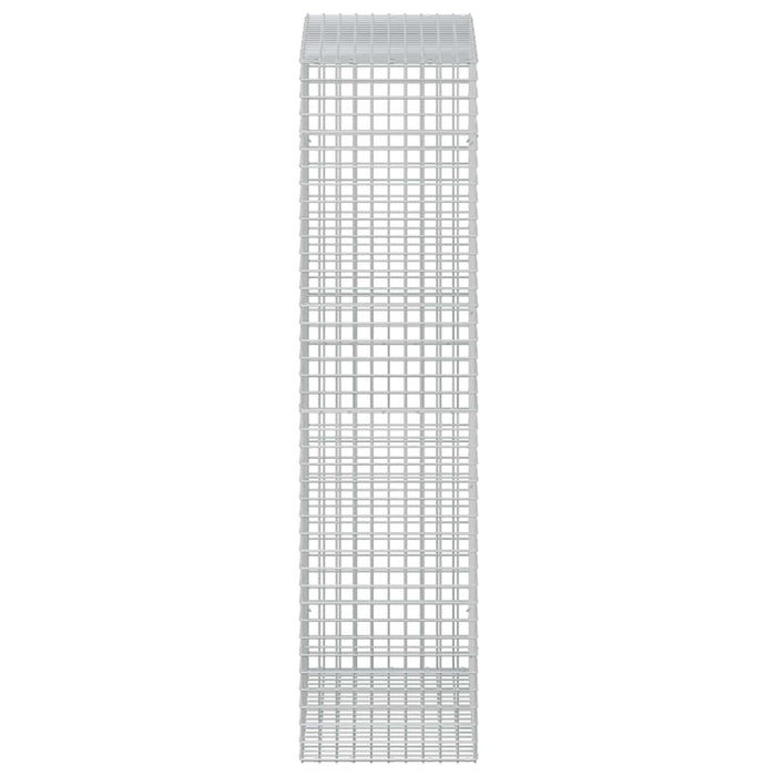 Gabion cu sârmă de 3,5 mm și plasă de 5x5 cm 50x100x200 cm WALTI