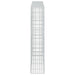 Gabion cu Sârmă de 3,5 mm și Plasă de 5x10 cm 250x30x150 cm - WALTI WALTI