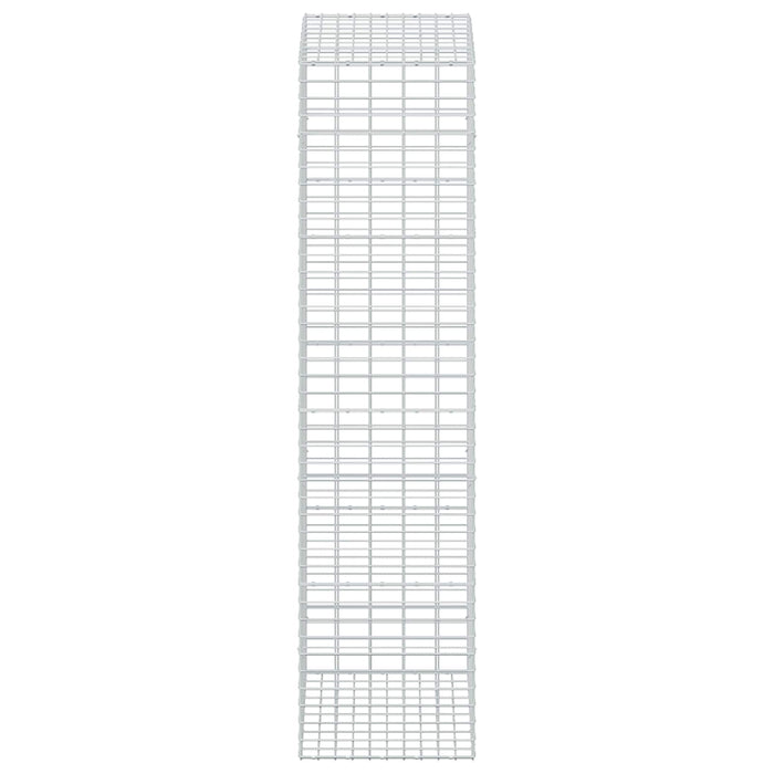 Gabion cu Sârmă de 3,5 mm și Plasă de 5x10 cm 50x100x200 cm WALTI