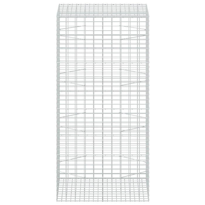 Gabion cu Sârmă de 3,5 mm și Plasă de 5x10 cm 100x100x200 cm WALTI