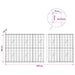 Gabion cu Fir de 3,5 mm și Plasă de 10x10 cm 1150x20x100 cm - WALTI WALTI