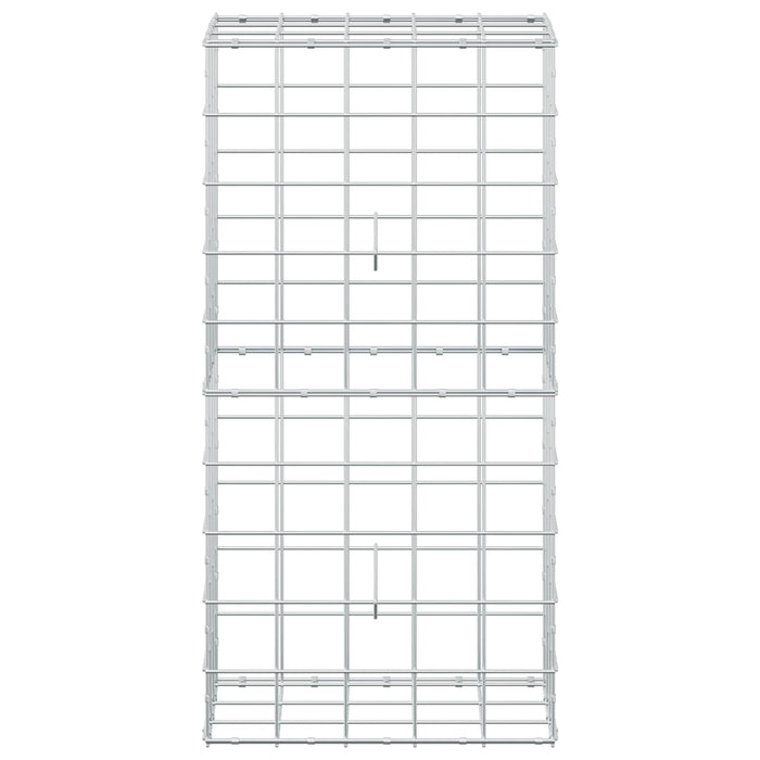 Gabion cu Fir de 3,5 mm și Plasă de 10x10 cm 50x30x100 cm WALTI