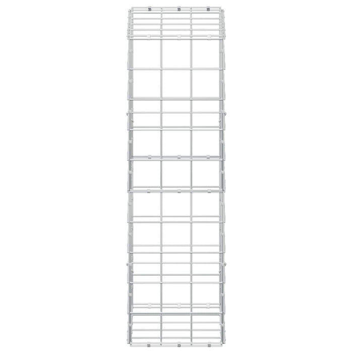 Gabion cu Fir de 3,5 mm și Plasă de 10x10 cm 50x30x100 cm WALTI